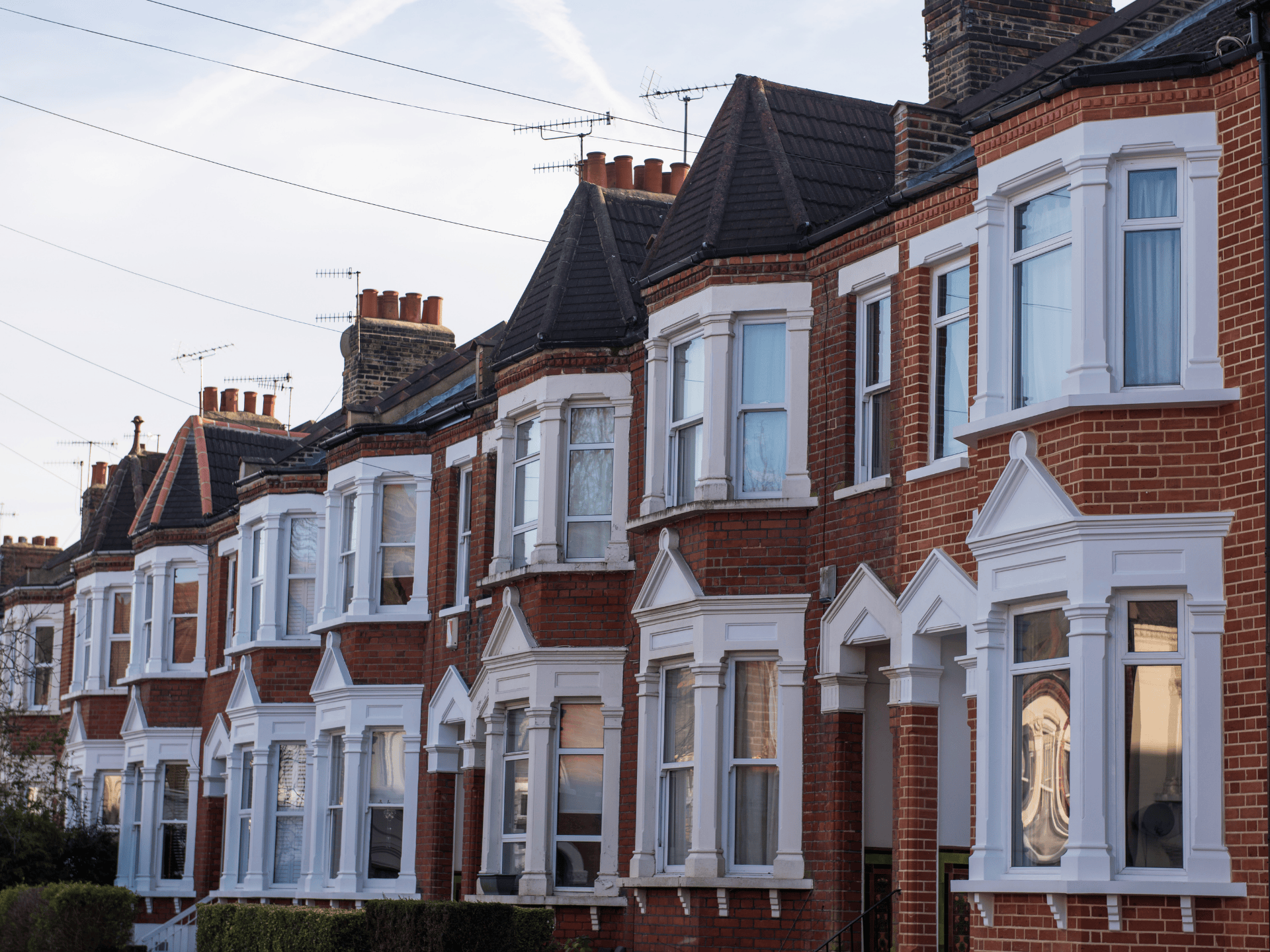 Untitled design - 2025-03-04T141113.738